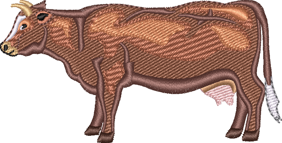 Dairy COW 6