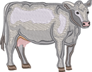 DAIRY COW 7