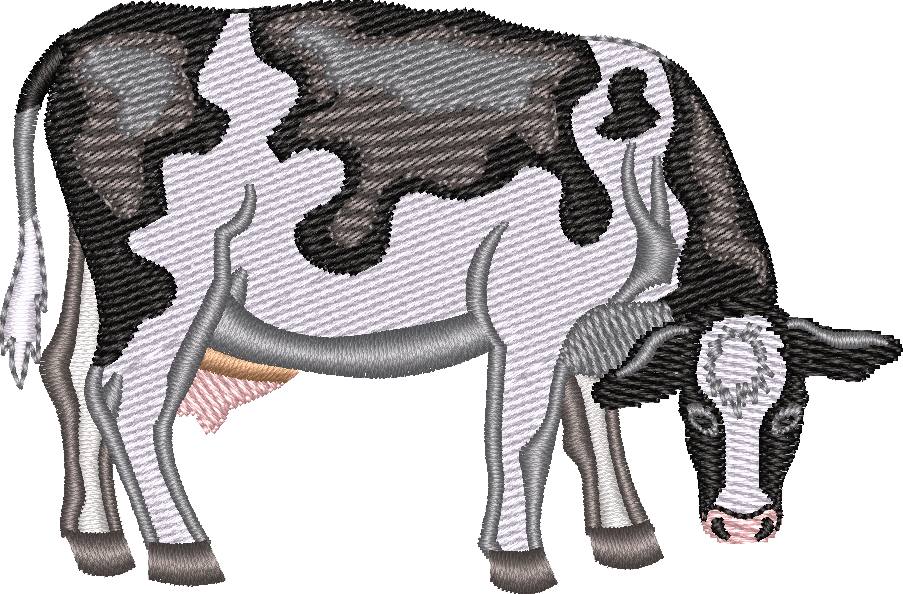 Dairy COW 8