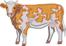 DAIRY COW 9