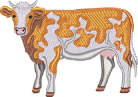 DAIRY COW 9