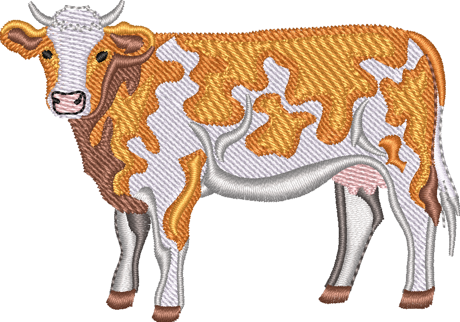 Dairy COW 9