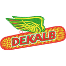 DEKALB