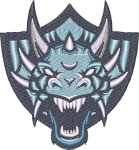 DRAGON 12