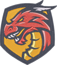 DRAGON 13