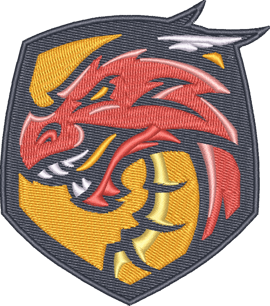 Dragon 13