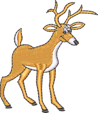 Deer