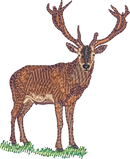 Deer1