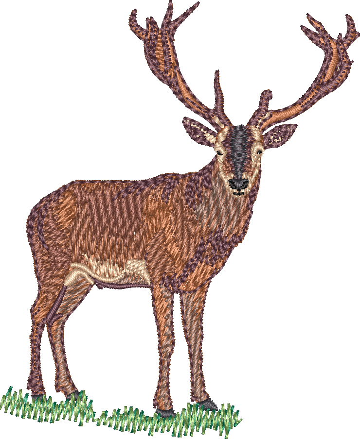 Deer1