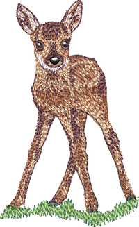 Deer2