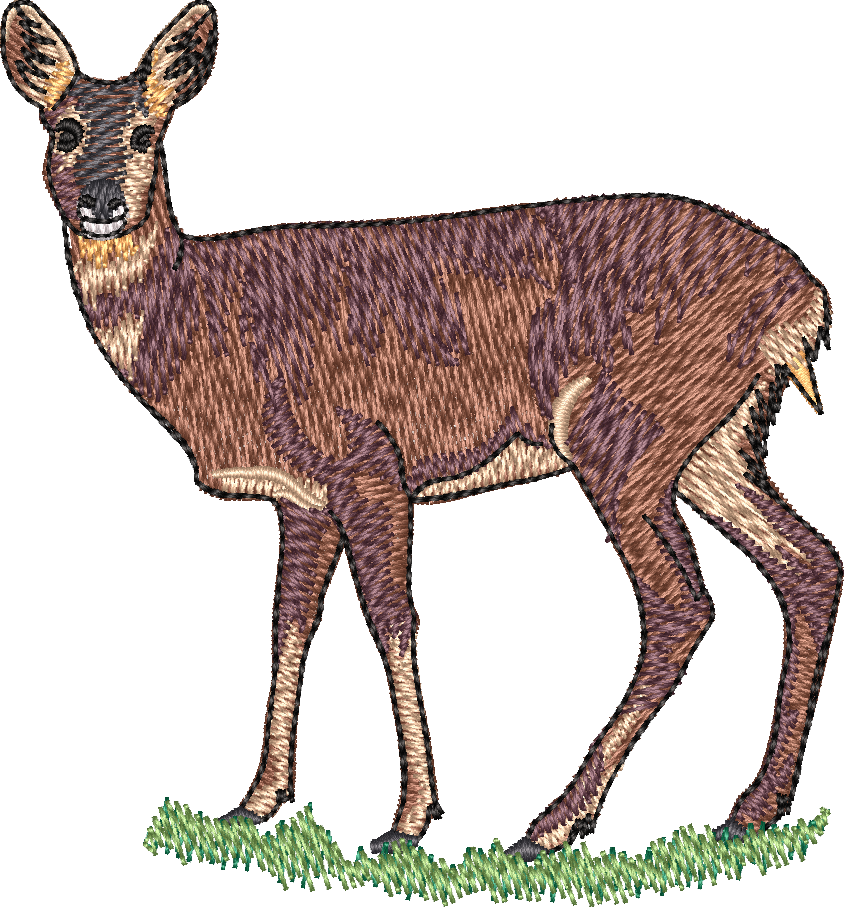 Deer3