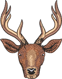 Deer4