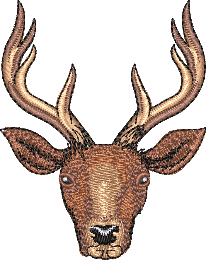 Deer4