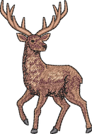 Deer5