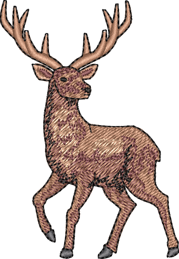Deer5