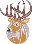 Deer6