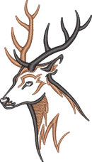 Deer7