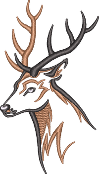 Deer7