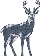 Deer8