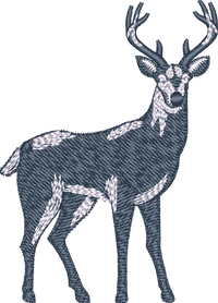 Deer8