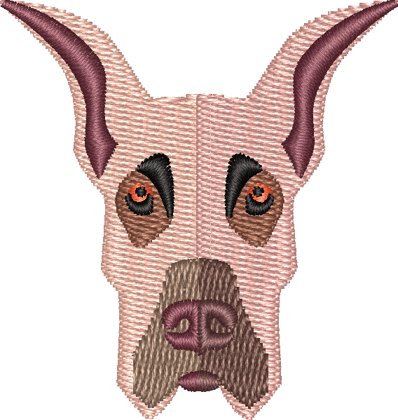 Dog 1