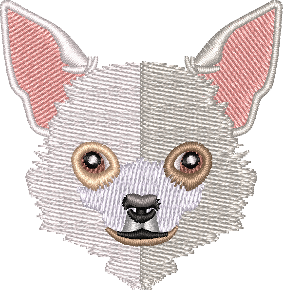 Dog 10