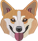Dog 11