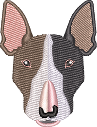 Dog 12
