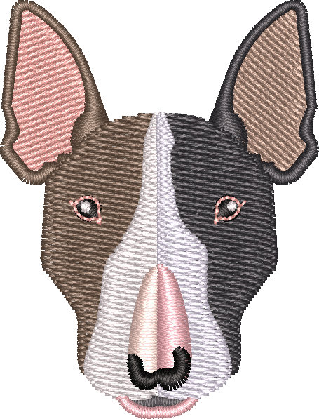 Dog 12