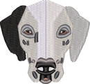 Dog 14