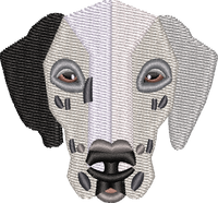 Dog 14