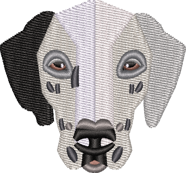 Dog 14