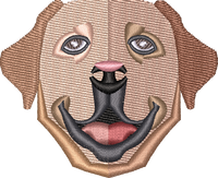 Dog 15
