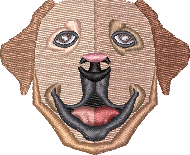 Dog 15