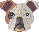 Dog 6