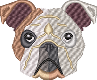 Dog 6