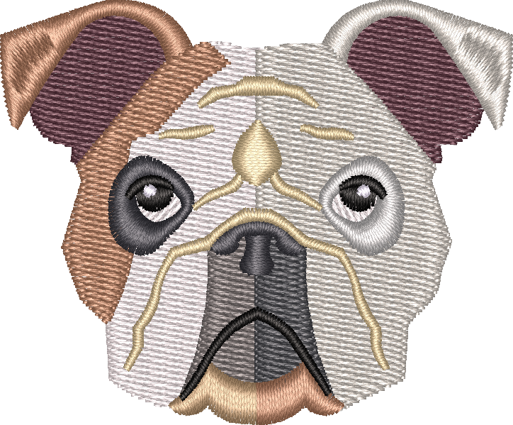 Dog 6