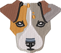 Dog 7