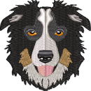 Dog 8