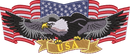 EAGLE13