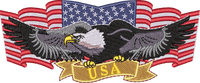 EAGLE13