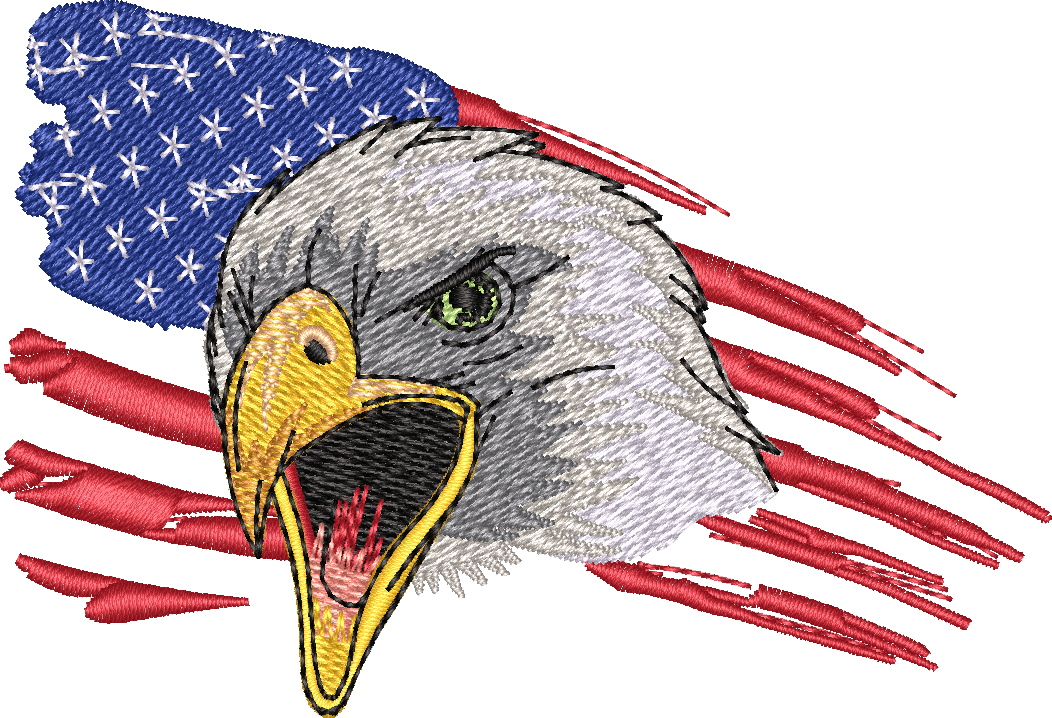 Eagle5