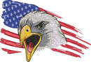 EAGLE5