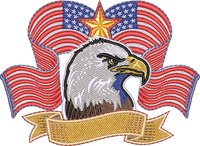 EAGLE6