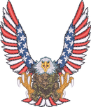 EAGLE9