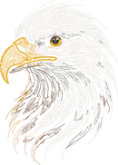 Eagle Head Run