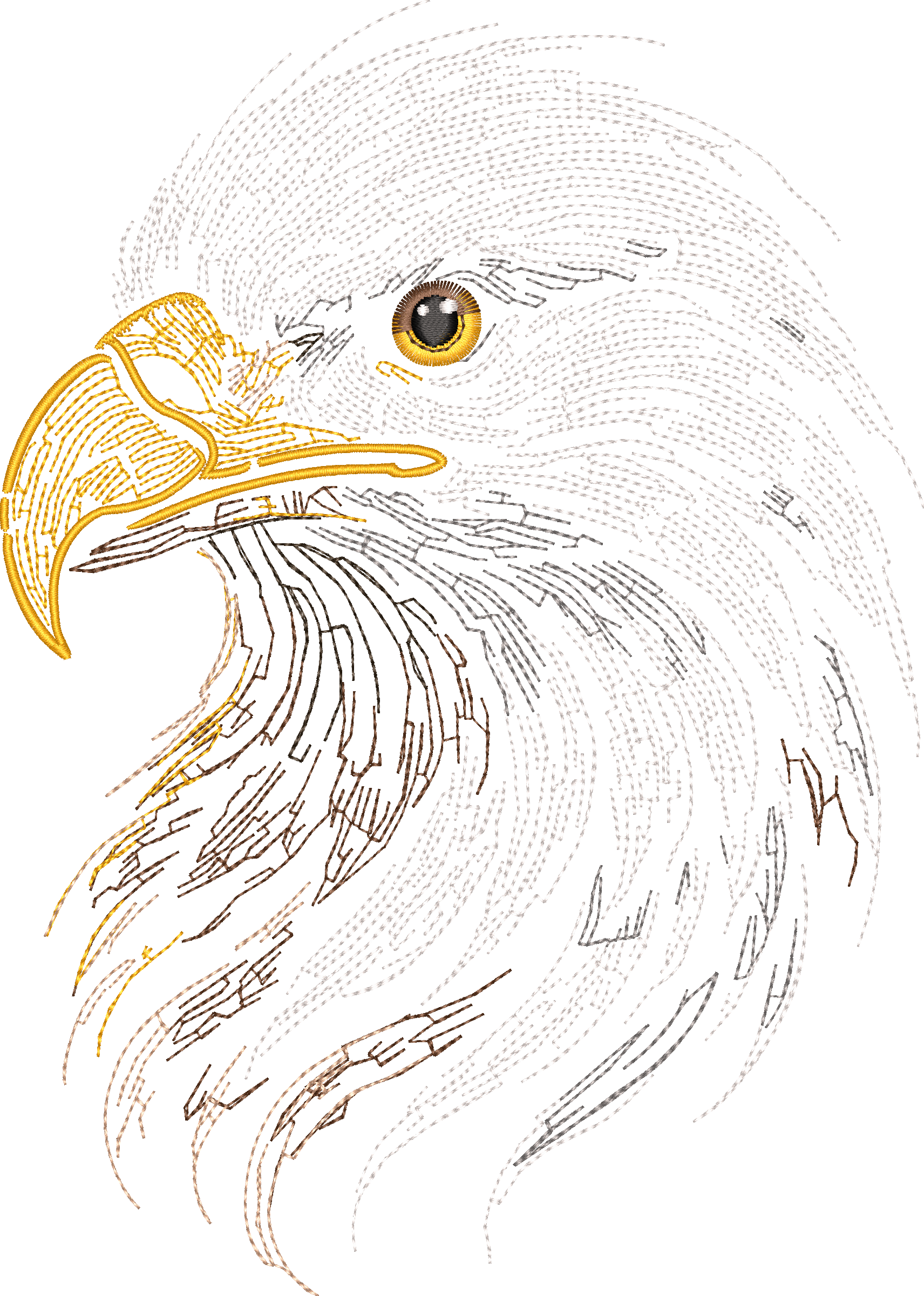 Eagle Head Run