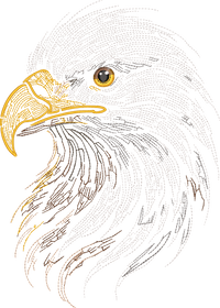 Eagle Head Run