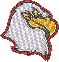 Eagle Head2