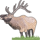 Elk1